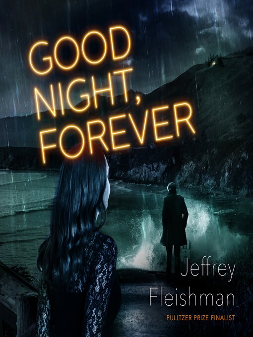 Title details for Good Night, Forever by Jeffrey Fleishman - Available